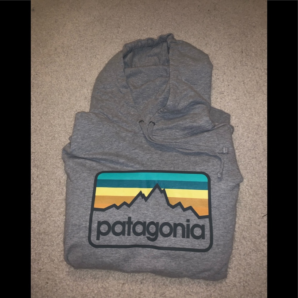 Patagonia hoodie